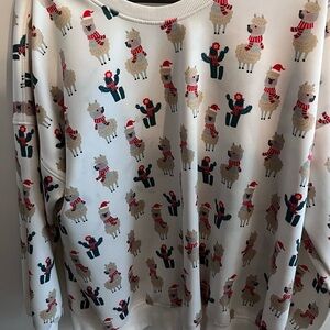 Matching Ugly Christmas Sweater for Pet